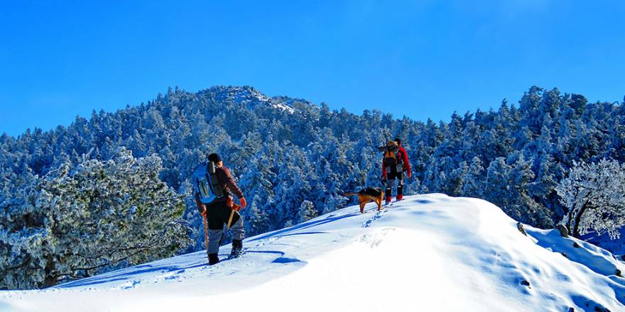 Sibirya değil Kazdağları