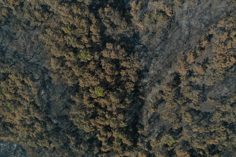 Marmaris Kızkumu Plajı çevresinde yanan ormanlık alanlar havadan görüntü 9
