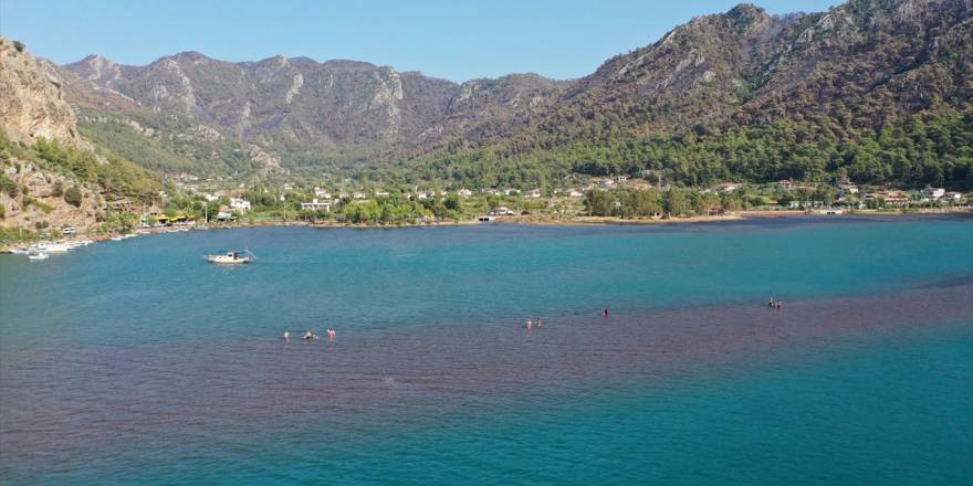 Marmaris Kızkumu Plajı çevresinde yanan ormanlık alanlar havadan görüntü