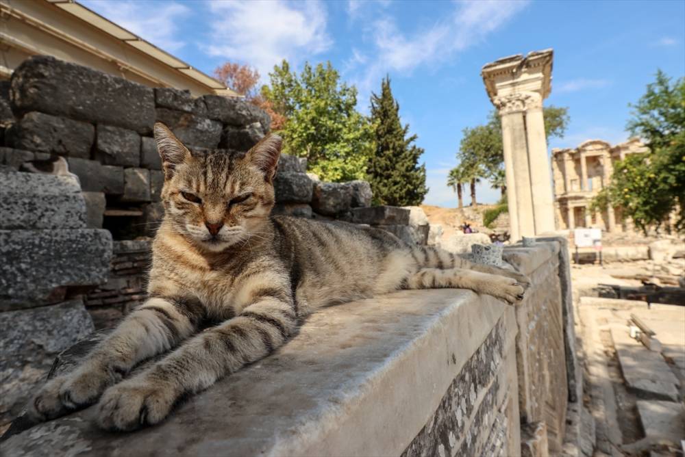 Efes Antik Kenti'nde ziyaretçi sayısı 7 ayda 340 bini aştı 4