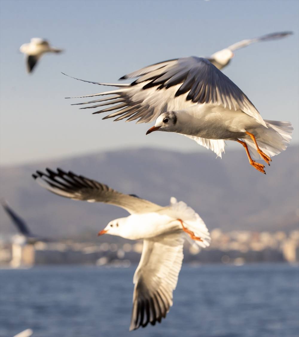 İzmir'de günlük yaşam 9