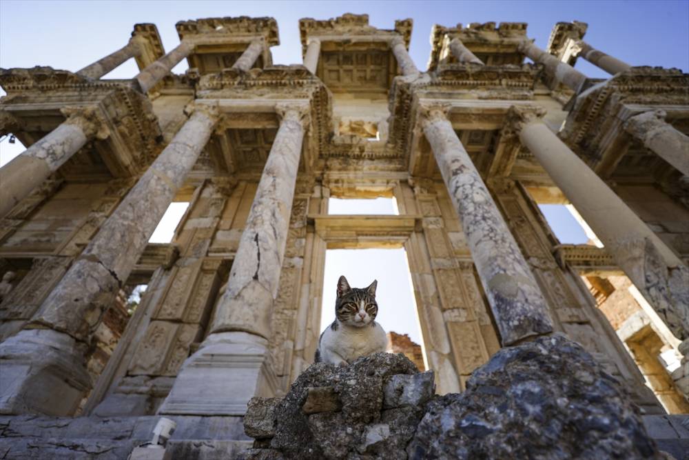 Efes Antik Kenti her mevsim turist ağırlamaya devam ediyor 18