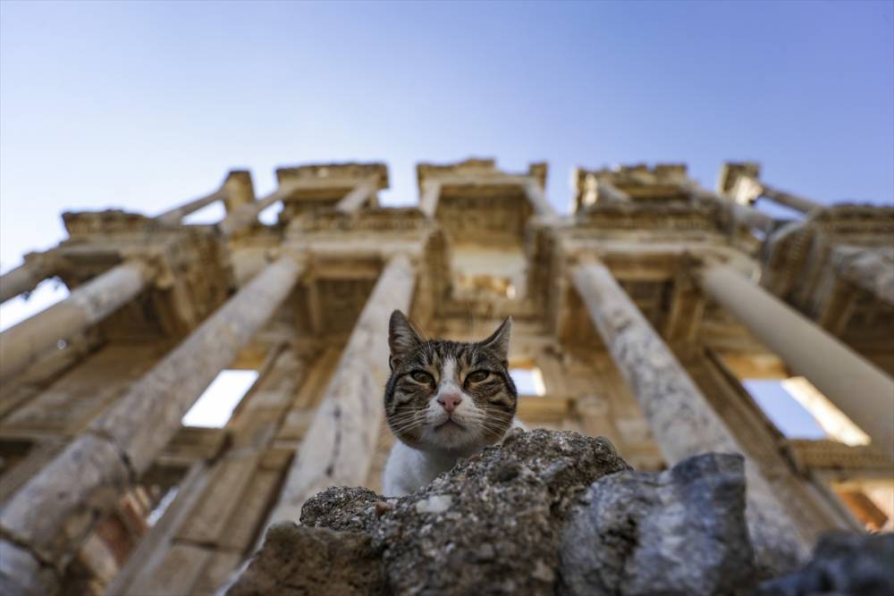 Efes Antik Kenti her mevsim turist ağırlamaya devam ediyor 5