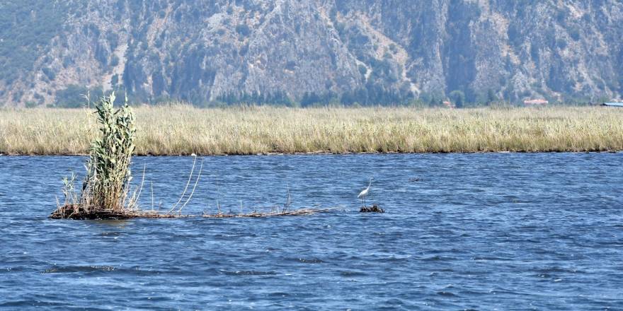 Türkiye’nin en fazla paylaşılan fotoğrafları arasında yer alıyor