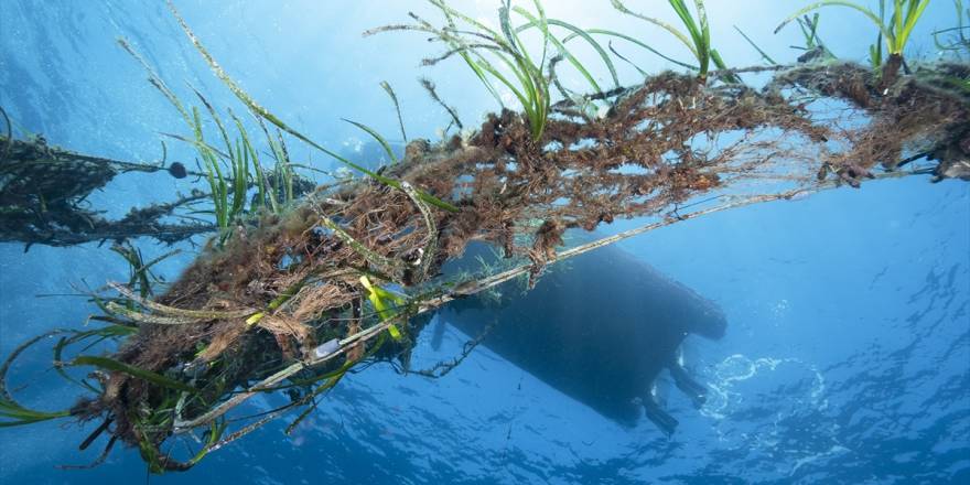 İzmir'de dalgıçlar denizde hayalet ağ topladı