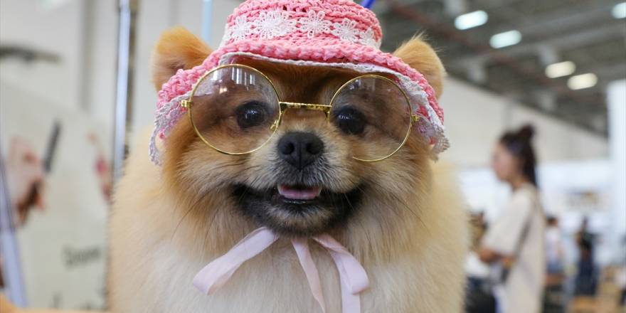 Uluslararası İzmir Evcil Hayvan Ürünleri Fuarı'nın sevimli ziyaretç