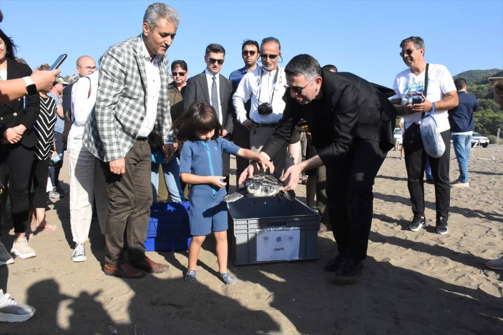 Muğla'da tedavisi tamamlanan caretta carettalar denize uğurlandı 20