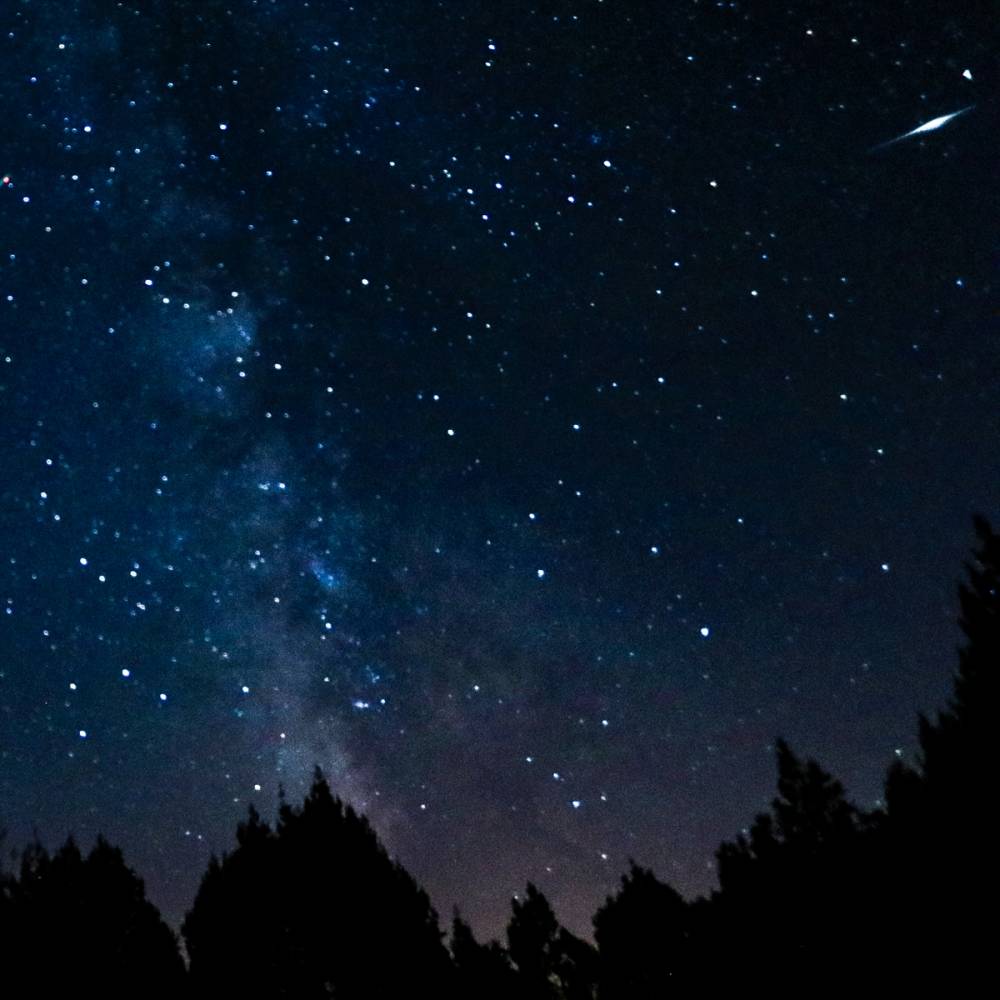 İzmir'de Perseid meteor yağmuru 14