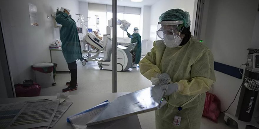 Türkiye'de son 24 saatte koronavirüsten 223 kişi hayatını kaybetti