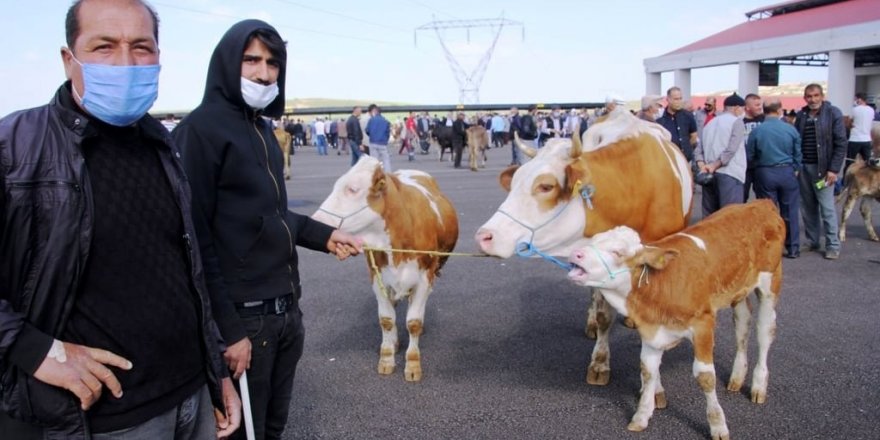 Bayburt’ta hayvan pazarı, tekrardan açıldı