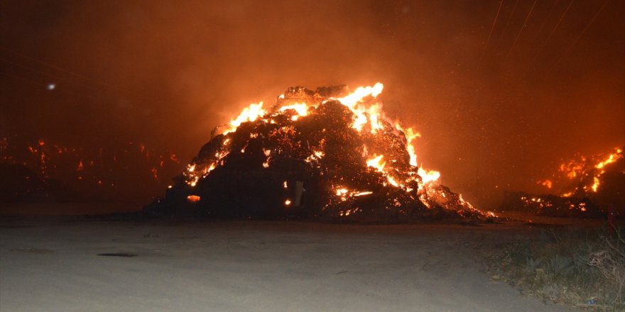 Afyonkarahisar'da biyokütle enerji santralinde yangın çıktı