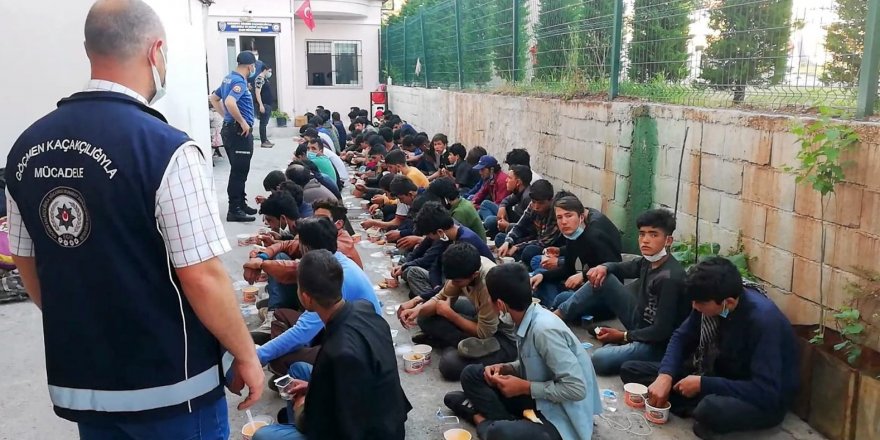 74 mültecinin ölüm yolculuğu Osmaniye’de son buldu