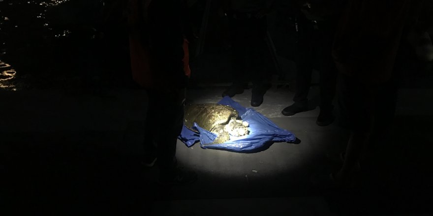 İzmir'de Alsancak Kordon Boyu'ndan yaralı deniz kaplumbağası çıkarıldı