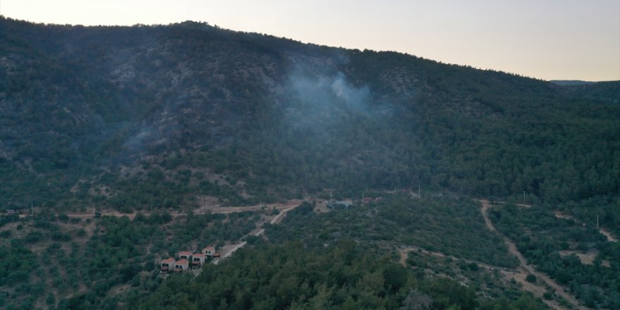 Milas'ta ormanlık alandaki yangın kontrol altına alındı