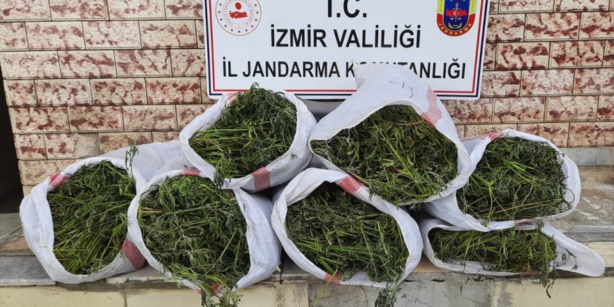 İzmir'de 27 kilogram esrar ve 756 kök Hint keneviri ele geçirildi