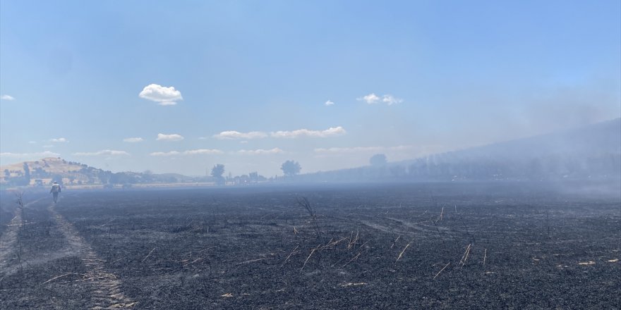 Tire'de nar ağaçları ile buğday tarlalarının bulunduğu alanda çıkan yangın söndürüldü