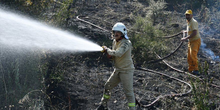 Manisa'da çıkan yangında 10 dönüm orman ve tarım alanı zarar gördü