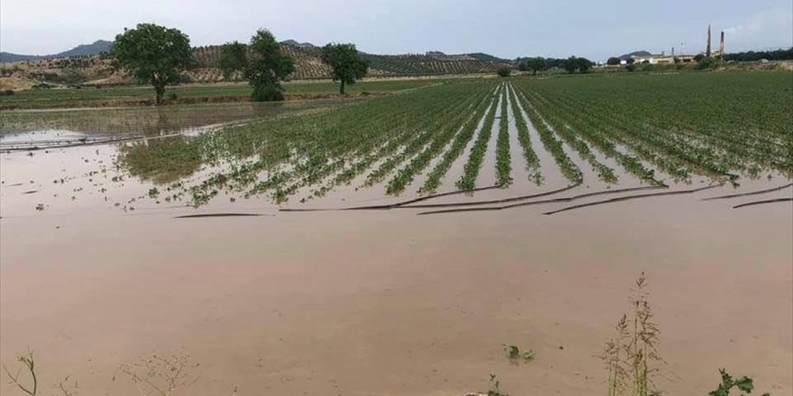 Bergama'da dolunun 3 bin dönüm tarım arazisine zarar verdiği bildirildi