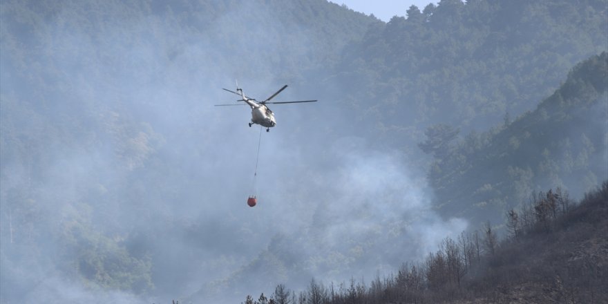 Denizli'de çıkan orman yangını kontrol altına alındı