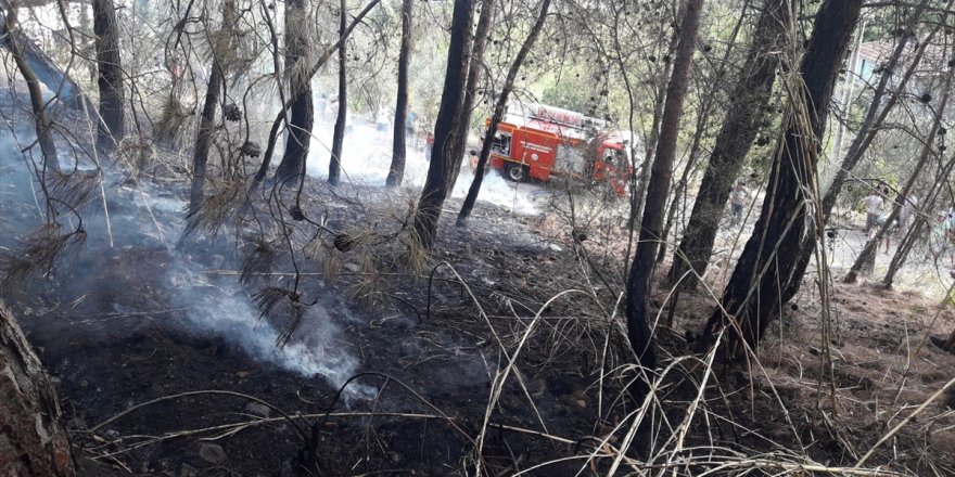 Fethiye'deki orman yangını söndürüldü