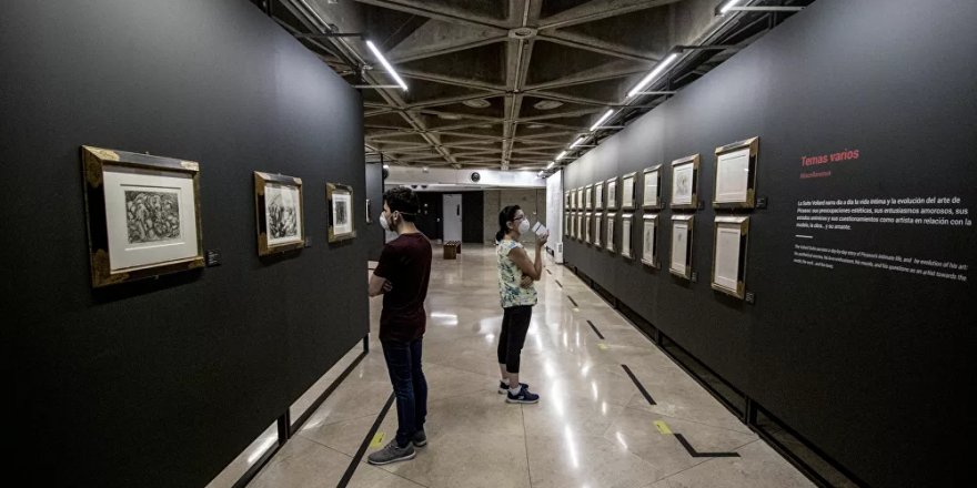 Picasso'ya ait olduğu düşünülen ve 50 yıl bir dolapta kalan tablo satıldı