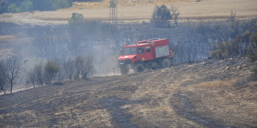 Manisa'da iki ilçede çıkan orman yangınları kontrol altına alındı