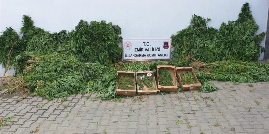 İzmir'de düzenlenen uyuşturucu operasyonunda 12 zanlı yakalandı