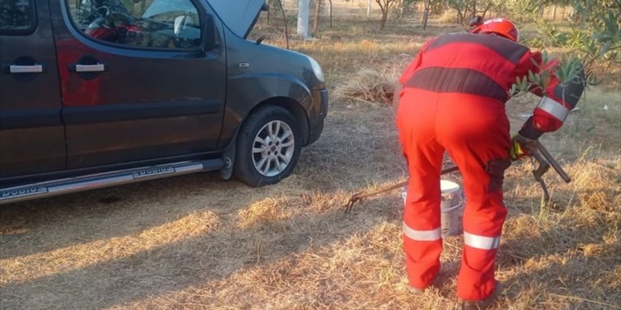 Muğla'da otomobilin motoruna giren yılan itfaiye ekiplerince çıkarıldı