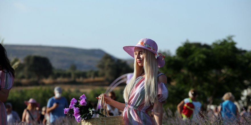 Aydın'da 1. Lavanta Festivali renkli görüntülerle başladı