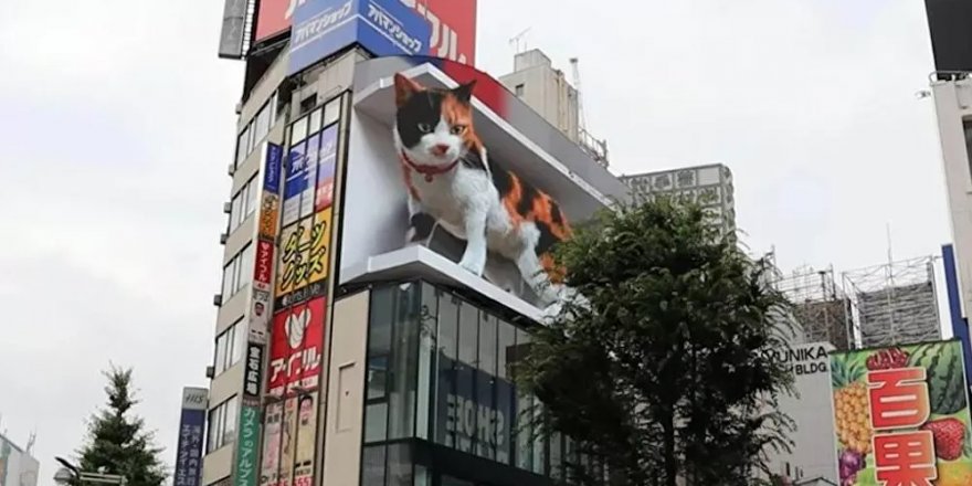 'Shinjuku kedisi', Tokyo'nun en büyük reklam panolarından birini 'ele geçirdi' (Video)