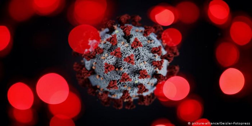Bilim insanları 'en tehlikeli' koronavirüs senaryosunu açıkladı: 100'den fazla hayvanda bulunuyor