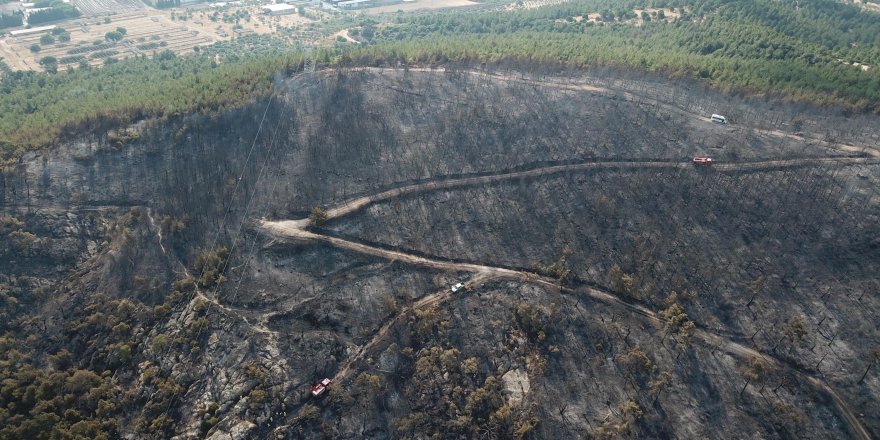 30 hektar kül olmuştu... Yangını çocuklar mı çıkardı?