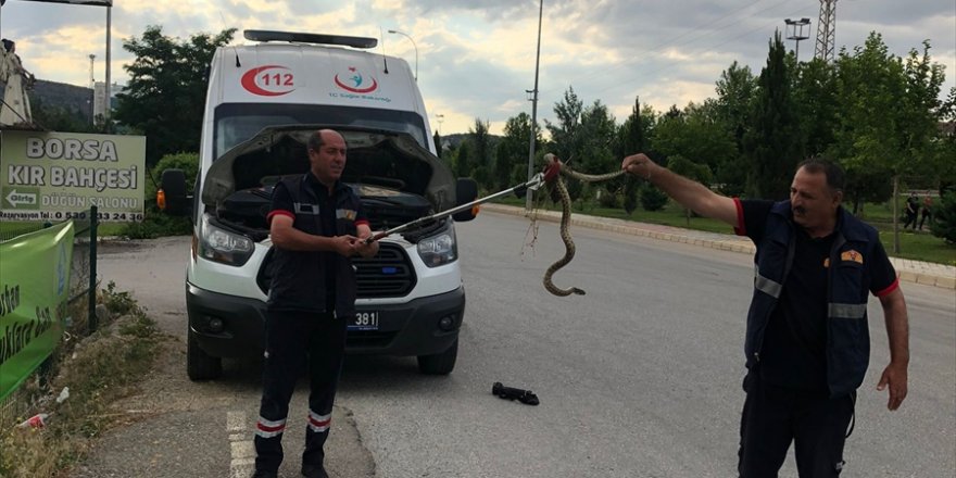 Afyonkarahisar'da ambulansın altına giren yılanı itfaiye ekipleri çıkardı