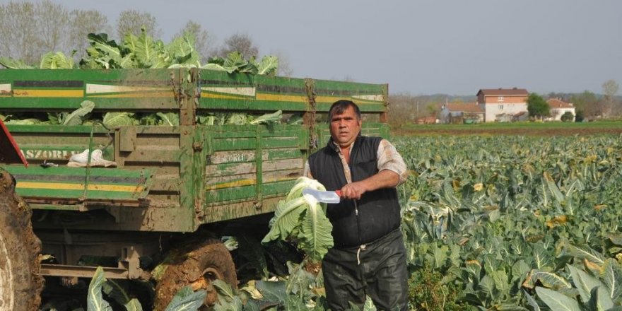 Türkiye'nin meyve, sebze ve tarla bitkileri Samsun’dan