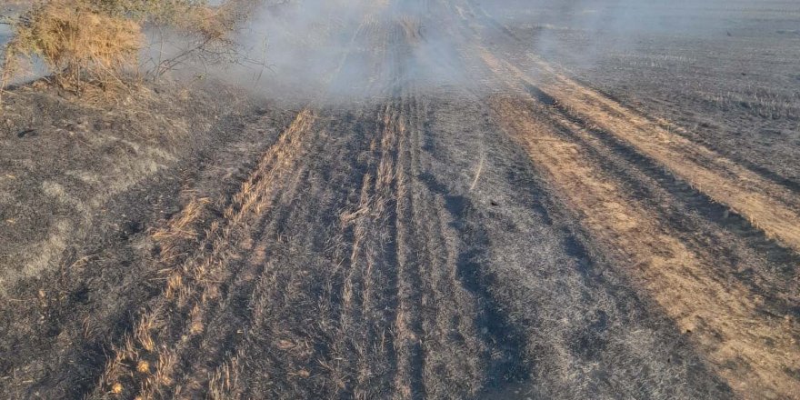 Tarla yangını korkuttu