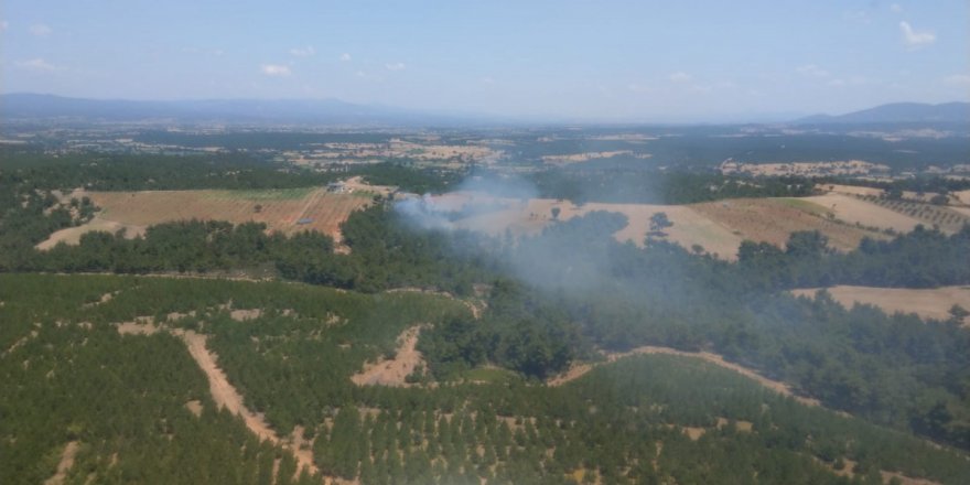 Çanakkale'de orman yangını