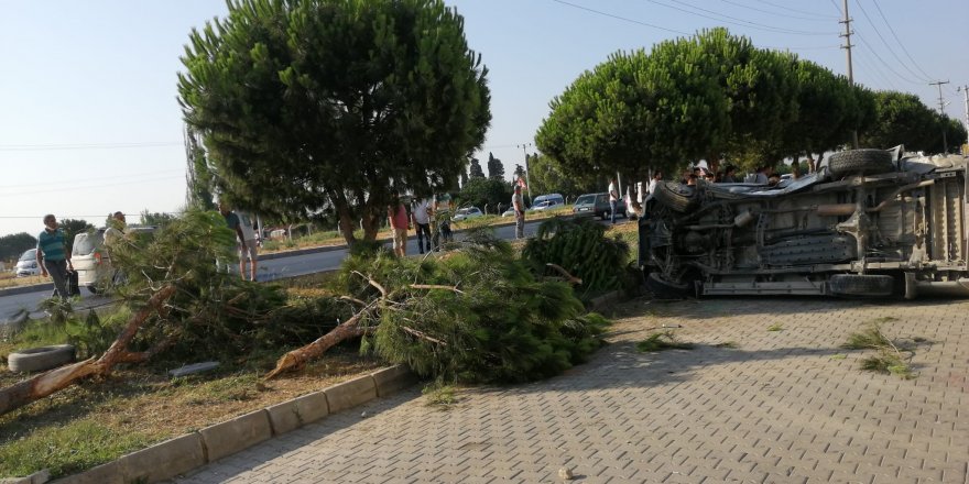 Takla atan kamyonet ağacı devirerek durabildi