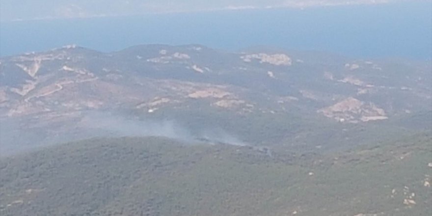 İzmir Foça'da makilik ve ormanlık alanda çıkan yangın kontrol altına alındı