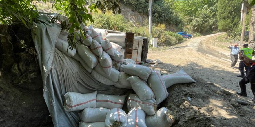 Aydın'da saman yüklü kamyonetin devrilmesi sonucu baba ile oğlu yaralandı