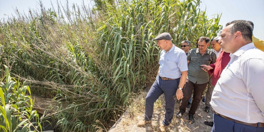 İzmir Büyükşehir Belediye Başkanı Soyer: "Gediz'i kirletenler hakkında suç duyurusunda bulunacağım"