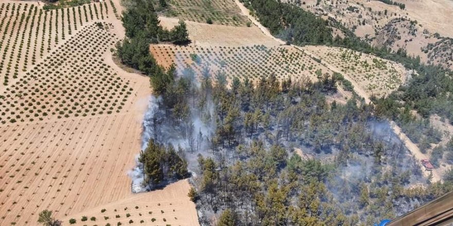 Ormanlık alanda çıkan yangında 2 hektar alan kül oldu