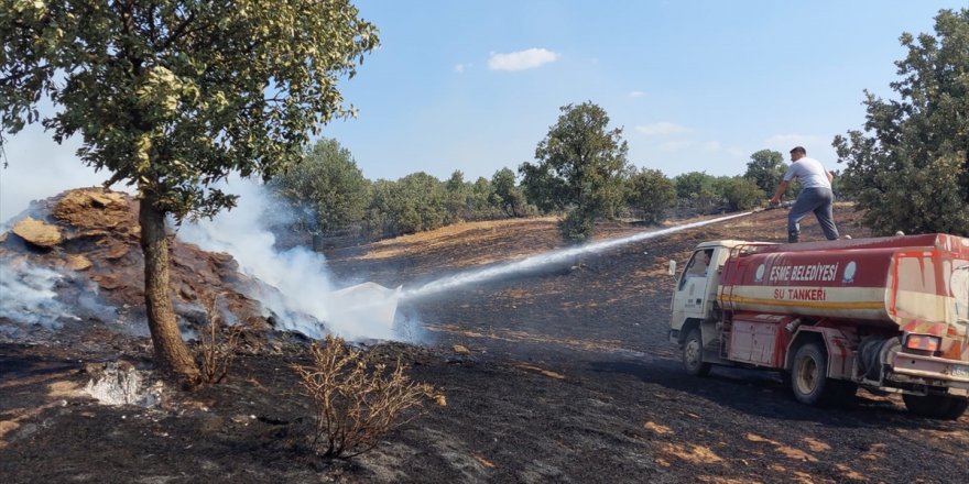 Uşak'taki yangında 400 dönüm tarım arazisi zarar gördü