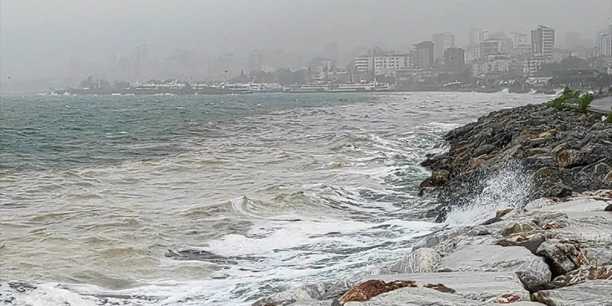 Marmara'da mutasyon tehlikesi: Kuşların bile rengi değişiyor