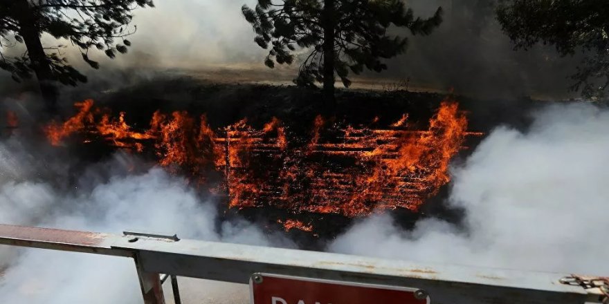 Kaliforniya'da orman yangınları sürüyor: Yangın 82 kilometrekarelik alana yayıldı