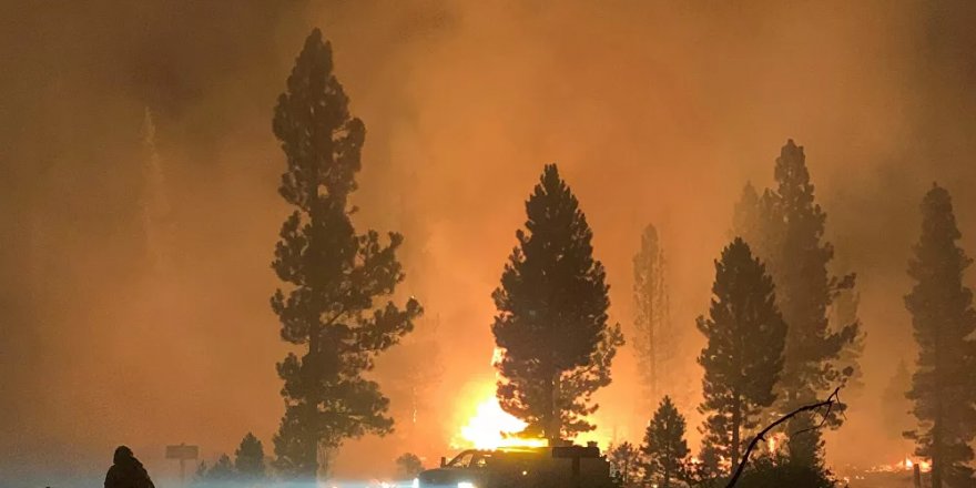 ABD'nin en büyük orman yangını: Los Angeles büyüklüğünde bir alan kül oldu