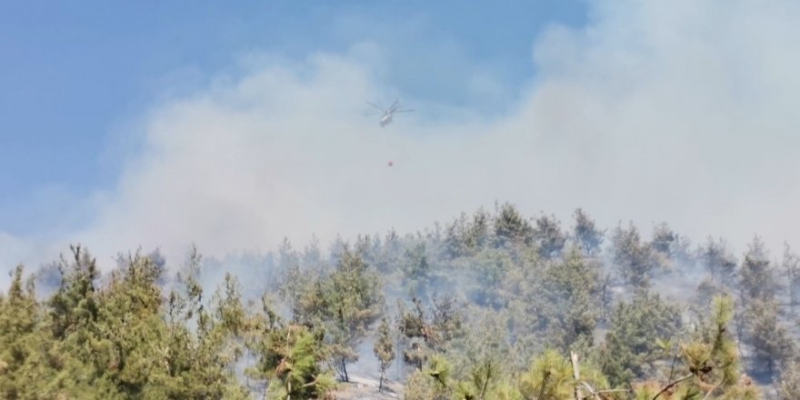 Kahramanmaraş’ta orman yangını