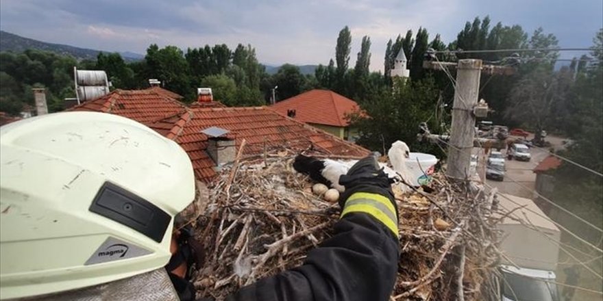 Muğla'da ayağına ip dolanan leyleği itfaiye kurtardı