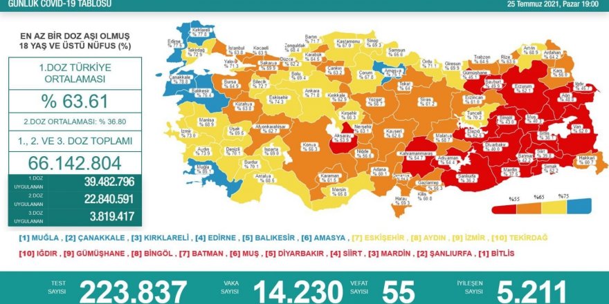 Karadeniz'de aşılamada 'mavi' olan tek ilin sırrını vali açıkladı