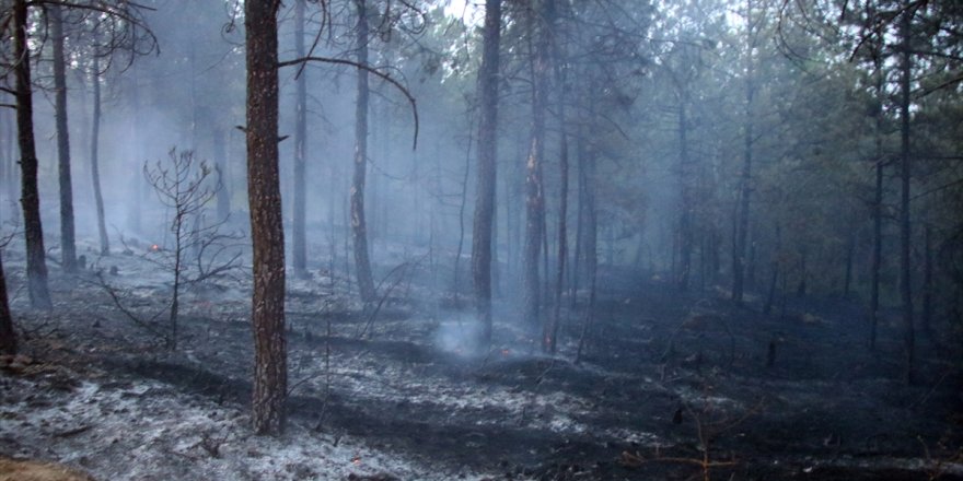 Uşak'ta 9 farklı noktada çıkan orman yangınları söndürüldü
