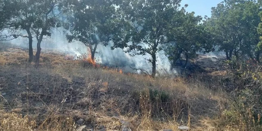 Çanakkale'de orman yangını: 10 hektar alan zarar gördü